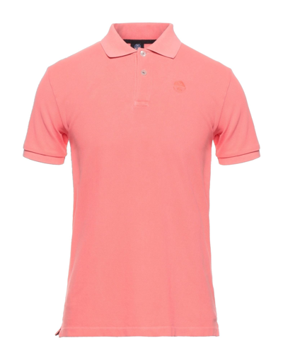 Shop North Sails Man Polo Shirt Salmon Pink Size Xxs Cotton