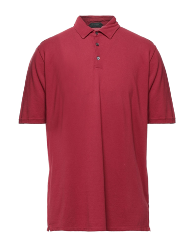 Shop Zanone Man Polo Shirt Burgundy Size 38 Cotton In Red