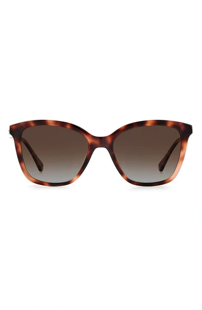 Shop Kate Spade Reenas 53mm Gradient Polarized Cat Eye Sunglasses In Havana / Brown Grad