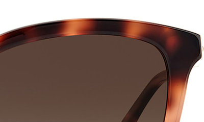 Shop Kate Spade Reenas 53mm Gradient Polarized Cat Eye Sunglasses In Havana / Brown Grad