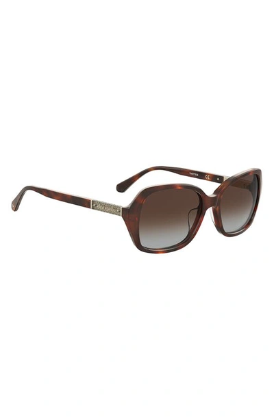 Shop Kate Spade Yvette 54mm Gradient Polarized Square Sunglasses In Havana / Brown Grad