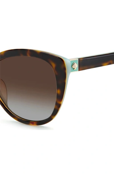 Shop Kate Spade Amberlees 55mm Gradient Eat Eye Sunglasses In Havana / Brown Grad