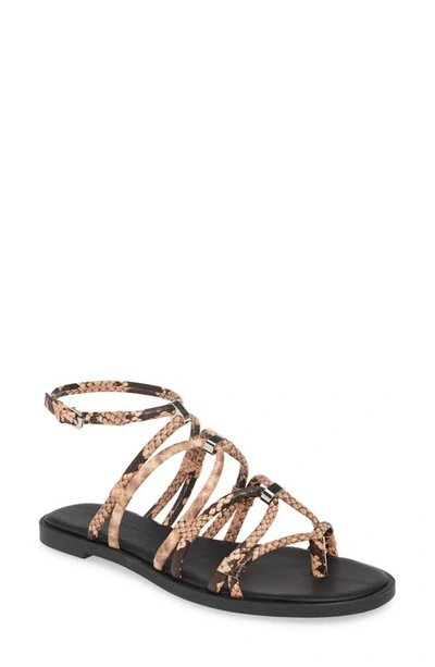Shop Rebecca Minkoff Sarle Strappy Sandal In Rosewood