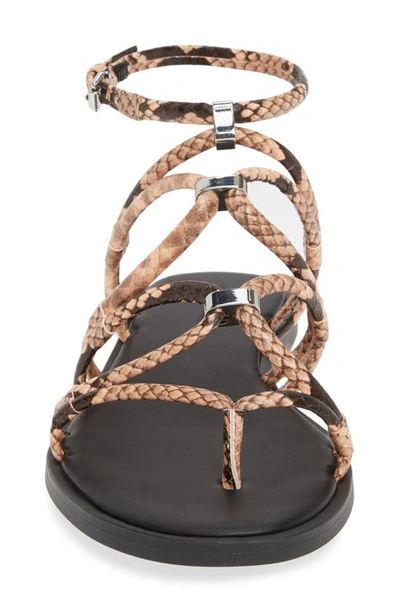 Shop Rebecca Minkoff Sarle Strappy Sandal In Rosewood