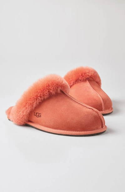 Shop Ugg Scuffette Ii Slipper In Shell Sparkle Spots