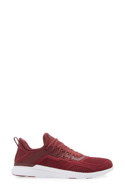 Shop Apl Athletic Propulsion Labs Techloom Tracer Knit Training Shoe In Burgundy / White