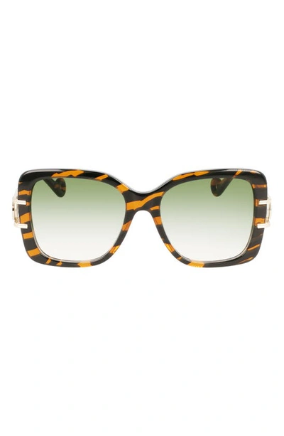 Shop Lanvin Mother & Child 53mm Square Sunglasses In Tiger