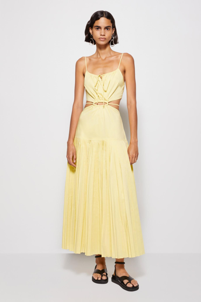 Shop Spring 2022 Ready-to-wear Rem Maxi Dress In Chamomile