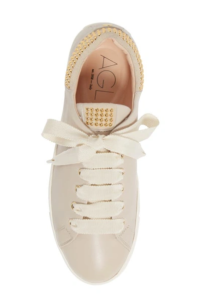 Shop Agl Attilio Giusti Leombruni Maristella Studded Low Top Sneaker In Light Pink/ Milk