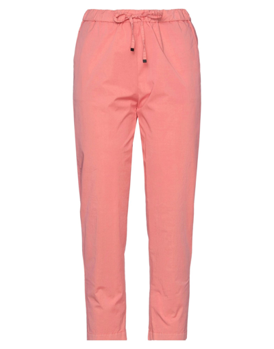 Shop Myths Woman Pants Salmon Pink Size 4 Cotton, Elastane