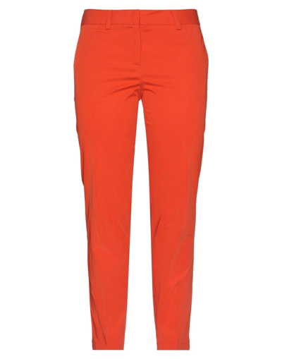Shop Alberto Biani Woman Pants Orange Size 8 Cotton, Elastane
