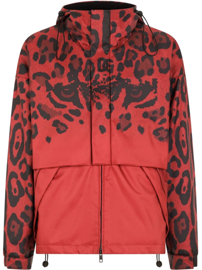 Shop Dolce & Gabbana Leopard-print Hooded Jacket In Red