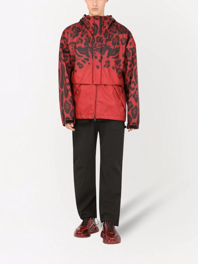 Shop Dolce & Gabbana Leopard-print Hooded Jacket In Red