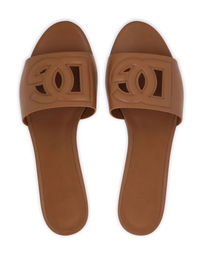 Dolce & Gabbana Slide Sandals With Cut Out Logo In Brown