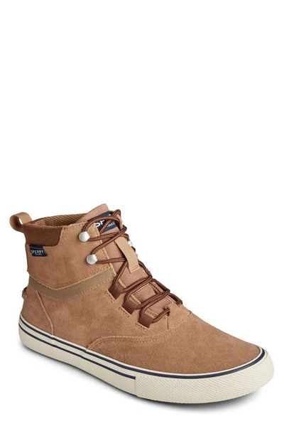 Shop Sperry Striper Storm Waterproof Boot In Tan Suede