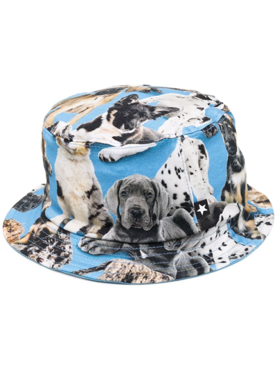 Shop Molo Dog-print Sun Hat In Blue