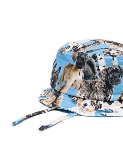 Shop Molo Dog-print Sun Hat In Blue