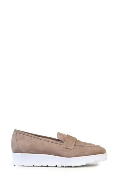 Shop Amalfi By Rangoni Euforia Platform Loafer In Taupe Cashmere