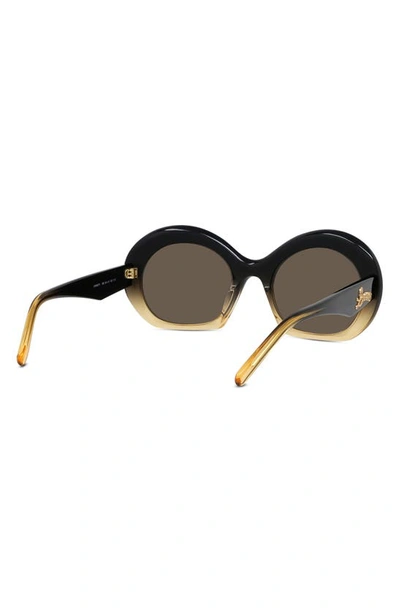 Shop Loewe 54mm Round Sunglasses In Dark Brown/ Other / Brown