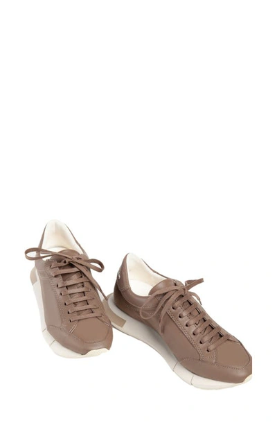Shop Paloma Barceló Lisieux Sneaker In Dark Beige/ Taupe