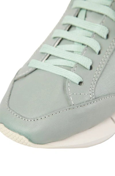 Shop Paloma Barceló Paloma Barcelo Lisieux Sneaker In Pastel Blue/ Jadite