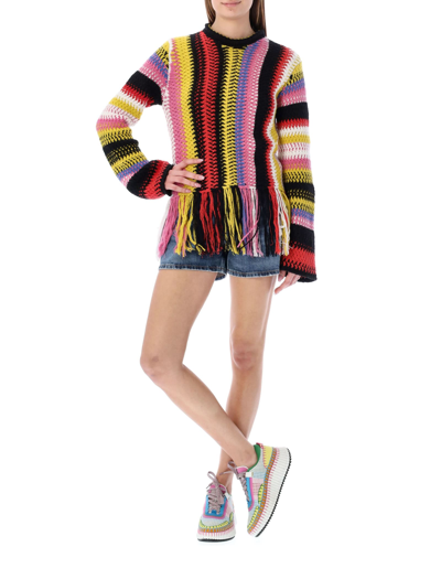 Shop Chloé Fringed Knit Sweater In Multicolor