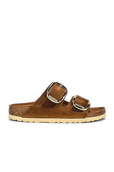 Shop Birkenstock Arizona Big Buckle Sandal In Cognac