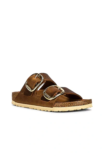 Shop Birkenstock Arizona Big Buckle Sandal In Cognac