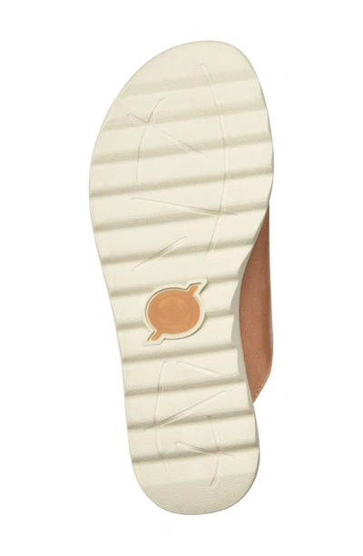 Shop Born Oceana Slide Sandal In Tan Leather