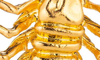 Eye Candy Los Angeles Scorpio Drop Earrings In Gold