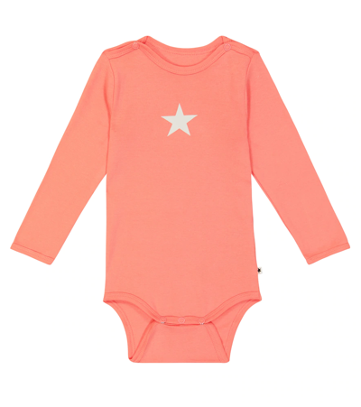 Shop Molo Baby Foss Set Of 2 Cotton Bodysuits In Coral Meadow