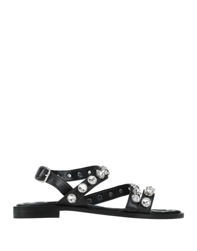 Shop Hadel Sandals In Black