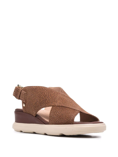 Geox Sukui 2 Open Toe Sandals In Brown
