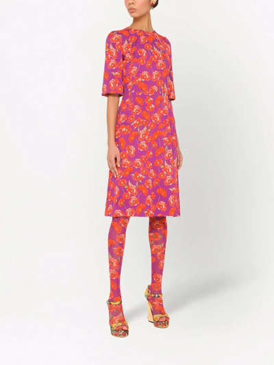Dolce & Gabbana Poppy-print Three-quarter Sleeve Dress In Violett
