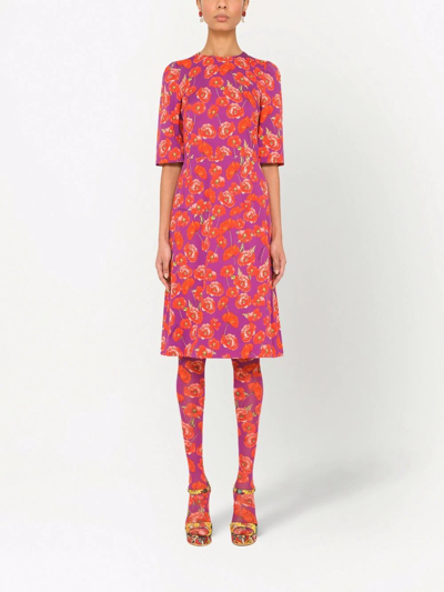 Dolce & Gabbana Poppy-print Three-quarter Sleeve Dress In Violett