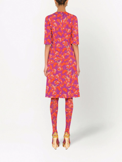 Dolce & Gabbana Poppy-print Three-quarter Sleeve Dress In Violett