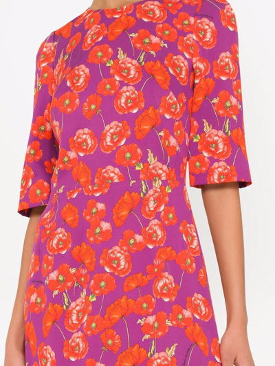 Dolce & Gabbana Poppy-print Three-quarter Sleeve Dress In Violett