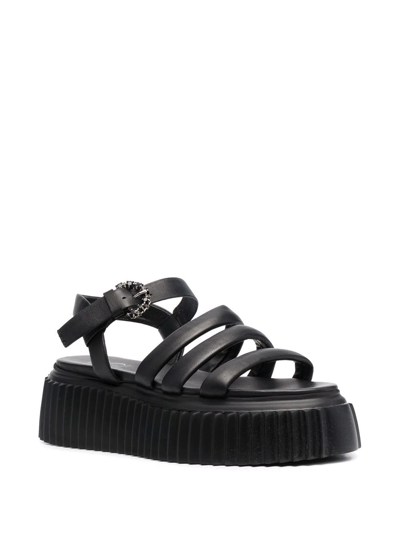 Shop Agl Attilio Giusti Leombruni Side-buckle Strap Sandals In Schwarz