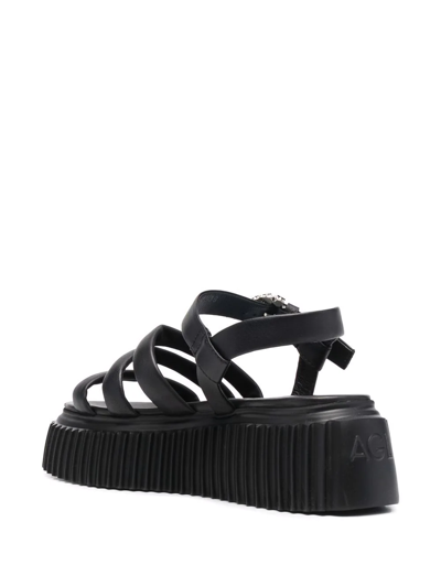 Shop Agl Attilio Giusti Leombruni Side-buckle Strap Sandals In Schwarz