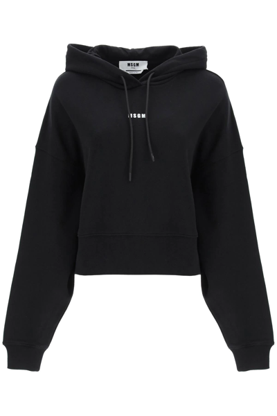 Shop Msgm Logo Cropped Sweatshirt In Black