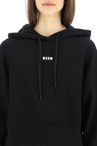 Shop Msgm Logo Cropped Sweatshirt In Black