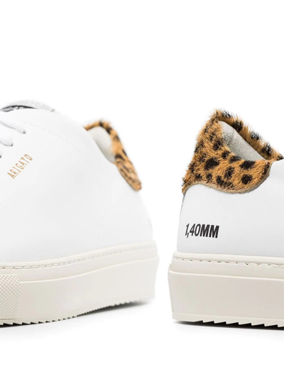 Shop Axel Arigato Sneakers In White-leopard-cremino