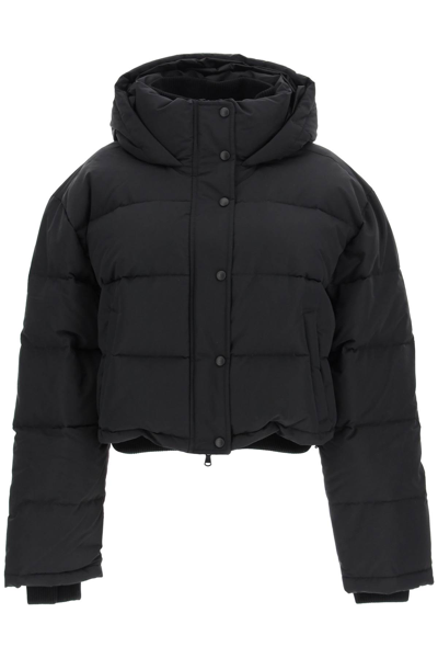 Shop Wardrobe.nyc Cropped Puffer Jacket In Black (black)