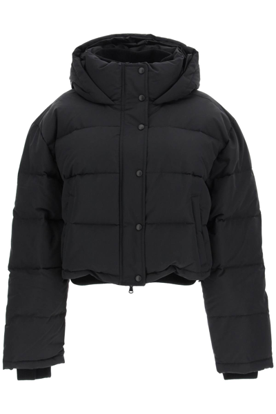 Wardrobe.nyc + Net-a-porter Hooded Quilted Padded Shell Down Jacket In Black (black)