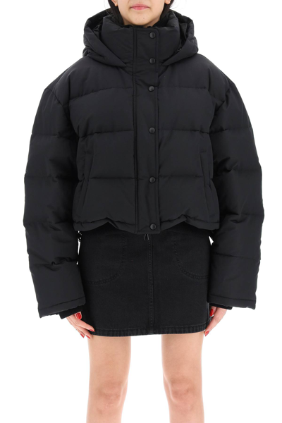 Shop Wardrobe.nyc Cropped Puffer Jacket In Black (black)