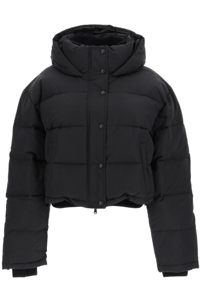 Shop Wardrobe.nyc Cropped Puffer Jacket In Black