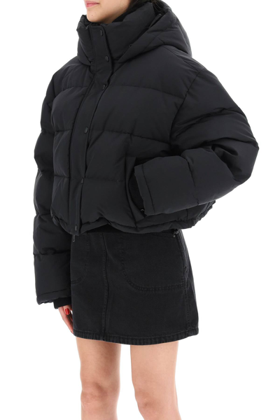 Shop Wardrobe.nyc Cropped Puffer Jacket In Black