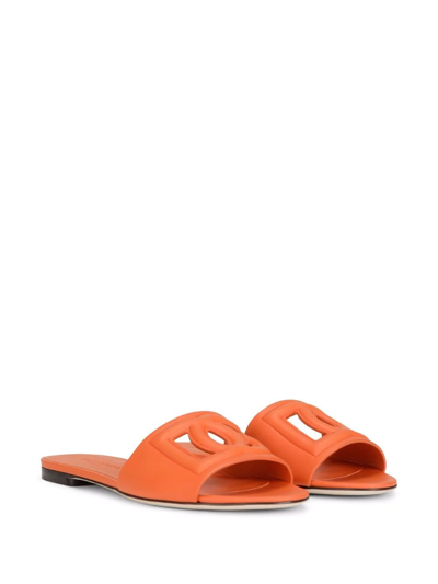 Dolce & Gabbana Slide Sandals In Orange Leather With Logo In Orange