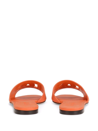 Dolce & Gabbana Slide Sandals In Orange Leather With Logo In Orange