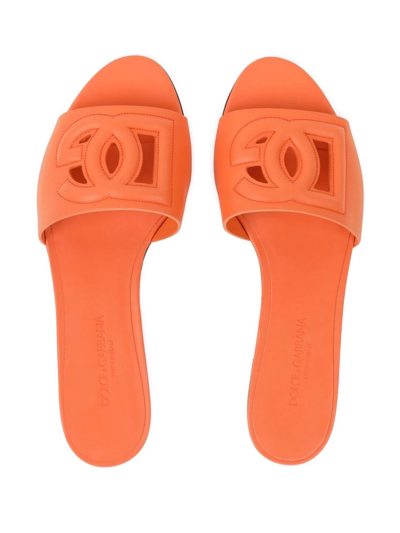 Shop Dolce & Gabbana Dg-logo Leather Sandals In Orange